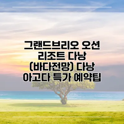 그랜드브리오 오션 리조트 다낭 (바다전망) 다낭 아고다 특가 예약팁