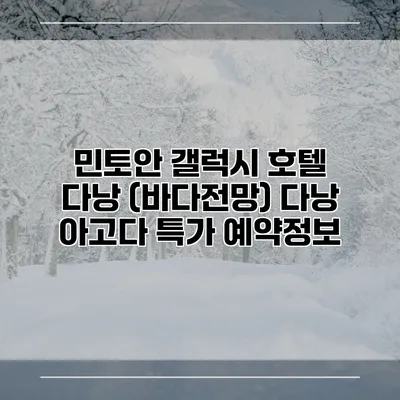 민토안 갤럭시 호텔 다낭 (바다전망) 다낭 아고다 특가 예약정보