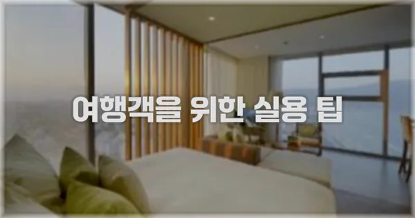 여행객을 위한 실용 팁