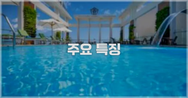 ✨ 주요 특징