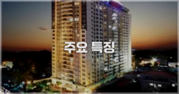 ✨ 주요 특징